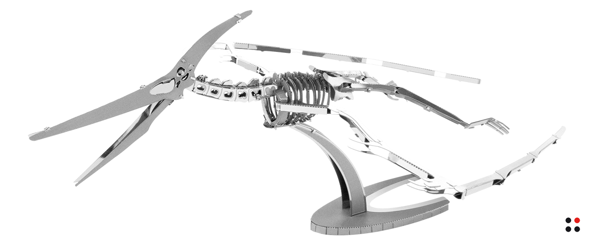 Rompecabezas 3D para Armar Esqueleto de Pteranodonte